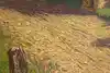 Thumbnail image 11