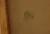Thumbnail image 14