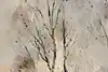 Thumbnail image 9
