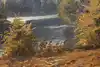Thumbnail image 10