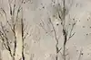 Thumbnail image 8