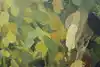 Thumbnail image 8