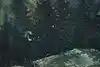 Thumbnail image 11