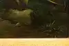Thumbnail image 11