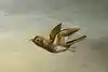 Thumbnail image 8