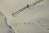 Thumbnail image 13