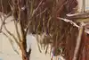 Thumbnail image 10