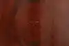 Thumbnail image 20
