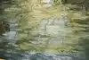 Thumbnail image 9