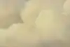 Thumbnail image 11