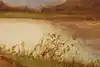 Thumbnail image 7