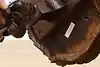 Thumbnail image 20