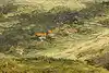 Thumbnail image 10