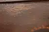 Thumbnail image 16