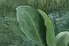 Thumbnail image 9