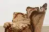 Thumbnail image 9