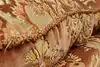 Thumbnail image 25