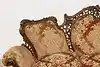 Thumbnail image 4