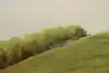 Thumbnail image 9