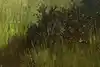 Thumbnail image 10