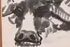 Thumbnail image 6