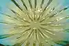 Thumbnail image 4