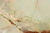 Thumbnail image 14