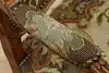 Thumbnail image 19