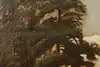 Thumbnail image 11