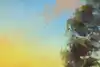 Thumbnail image 9