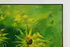 Thumbnail image 4