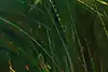 Thumbnail image 7