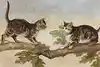 Thumbnail image 2