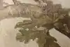Thumbnail image 8