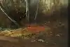 Thumbnail image 9