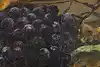 Thumbnail image 7