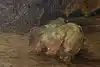 Thumbnail image 8