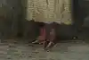 Thumbnail image 6