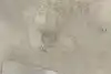 Thumbnail image 9