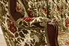 Thumbnail image 21