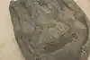 Thumbnail image 6