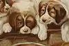 Thumbnail image 7