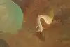 Thumbnail image 11