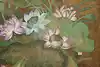Thumbnail image 1