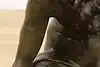 Thumbnail image 22