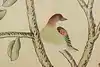 Thumbnail image 9