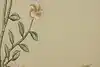 Thumbnail image 14