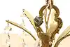 Thumbnail image 25