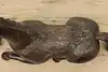Thumbnail image 13