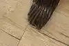 Thumbnail image 16